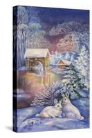 Fairy Story-ZPR Int’L-Stretched Canvas
