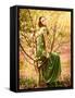 Fairy-Tail Forest Nymph, Beautiful Sexy Woman at Spring Garden, Wearing Long Dress, Sitting on Bloo-Anna Omelchenko-Framed Stretched Canvas
