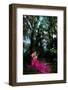 Fairy Tale - Fancy Woman in Dramatic Pose, Red Dress-Gromovataya-Framed Photographic Print