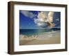 Fairy Tern at Cousine Island Beach-Martin Harvey-Framed Photographic Print