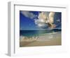 Fairy Tern at Cousine Island Beach-Martin Harvey-Framed Photographic Print