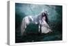 Fairy with Unicorn-null-Stretched Canvas