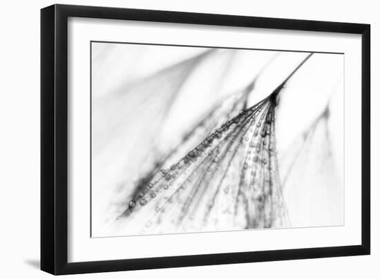 Fairy-Ursula Abresch-Framed Photographic Print