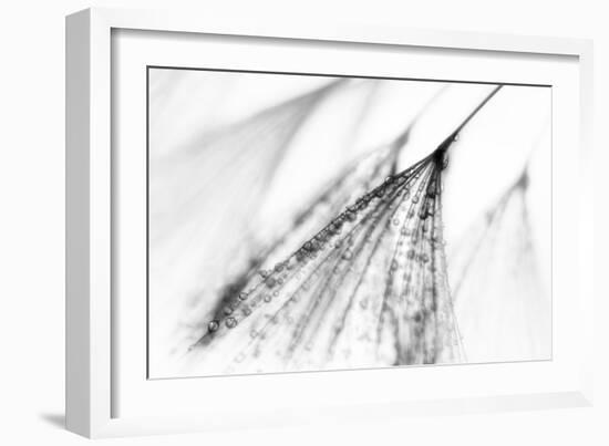 Fairy-Ursula Abresch-Framed Photographic Print