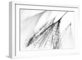 Fairy-Ursula Abresch-Framed Photographic Print