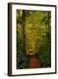 Fairytale Path-Natalie Mikaels-Framed Photographic Print