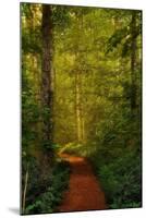 Fairytale Path-Natalie Mikaels-Mounted Photographic Print