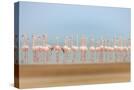 Stretched Canvas