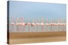 Stretched Canvas