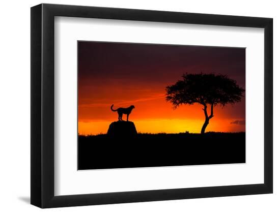 Premium Photographic Print, , large