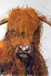 Angus, 2013, (pastel)-Faisal Khouja-Framed Stretched Canvas