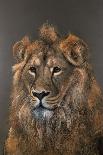 Tiger, 2013 (Pastel)-Faisal Khouja-Mounted Giclee Print