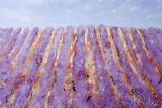 Lavender, 2015 (Oil on Panel)-Faisal Khouja-Giclee Print