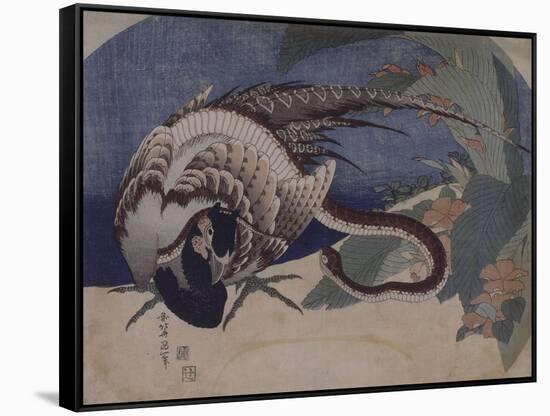 Faisan et serpent-Katsushika Hokusai-Framed Stretched Canvas