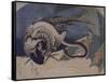 Faisan et serpent-Katsushika Hokusai-Framed Stretched Canvas