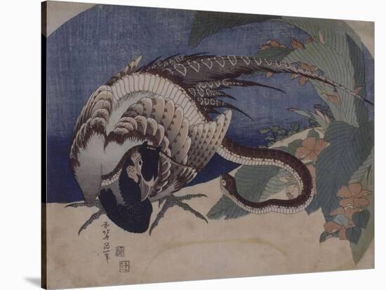 Faisan et serpent-Katsushika Hokusai-Stretched Canvas