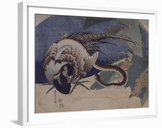 Faisan et serpent-Katsushika Hokusai-Framed Giclee Print