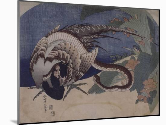 Faisan et serpent-Katsushika Hokusai-Mounted Giclee Print