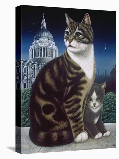 Faith, the St. Pauls Cat, 1995-Frances Broomfield-Stretched Canvas