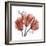 Faith Tulips-Albert Koetsier-Framed Premium Giclee Print