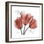 Faith Tulips-Albert Koetsier-Framed Premium Giclee Print