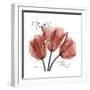 Faith Tulips-Albert Koetsier-Framed Premium Giclee Print