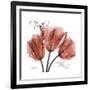 Faith Tulips-Albert Koetsier-Framed Premium Giclee Print