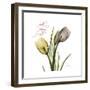 Faith Tulips-Albert Koetsier-Framed Premium Giclee Print