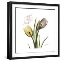 Faith Tulips-Albert Koetsier-Framed Premium Giclee Print