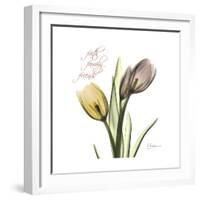 Faith Tulips-Albert Koetsier-Framed Premium Giclee Print