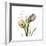 Faith Tulips-Albert Koetsier-Framed Premium Giclee Print