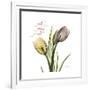 Faith Tulips-Albert Koetsier-Framed Premium Giclee Print