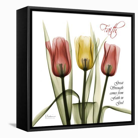 Faith Tulips-Albert Koetsier-Framed Stretched Canvas