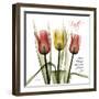 Faith Tulips-Albert Koetsier-Framed Photographic Print