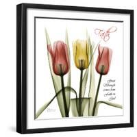Faith Tulips-Albert Koetsier-Framed Photographic Print