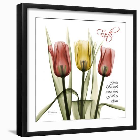 Faith Tulips-Albert Koetsier-Framed Photographic Print