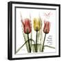 Faith Tulips-Albert Koetsier-Framed Photographic Print