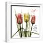 Faith Tulips-Albert Koetsier-Framed Photographic Print