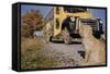 Faithful Dog Watching Boy Enter School Bus-William P. Gottlieb-Framed Stretched Canvas