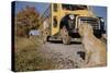 Faithful Dog Watching Boy Enter School Bus-William P. Gottlieb-Stretched Canvas