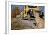 Faithful Dog Watching Boy Enter School Bus-William P. Gottlieb-Framed Photographic Print