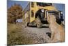 Faithful Dog Watching Boy Enter School Bus-William P. Gottlieb-Mounted Photographic Print