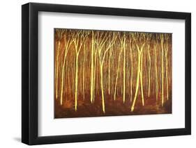 Faithful Light-Herb Dickinson-Framed Photographic Print