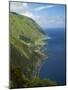 Faja dos Vimes. Sao Jorge Island, Azores, Portugal.-Martin Zwick-Mounted Photographic Print