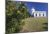 Fajardo Lighthouse, Puerto Rico-George Oze-Mounted Photographic Print