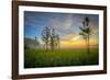 Fakahatchee-Dennis Goodman-Framed Photographic Print