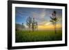 Fakahatchee-Dennis Goodman-Framed Photographic Print