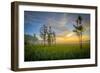 Fakahatchee-Dennis Goodman-Framed Photographic Print