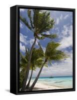 Fakarawa, Tuamotu Archipelago, French Polynesia Islands-Sergio Pitamitz-Framed Stretched Canvas