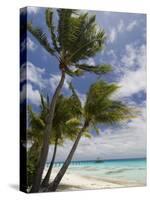 Fakarawa, Tuamotu Archipelago, French Polynesia Islands-Sergio Pitamitz-Stretched Canvas
